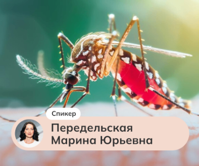 Инсектная аллергия — клинические аспекты