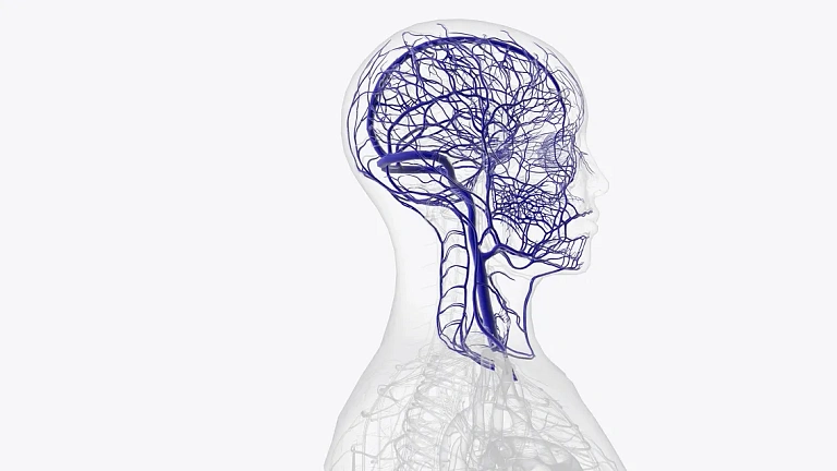 Роль и место ипидакрина в терапии заболеваний периферической нервной системы. Резолюция Совета экспертов