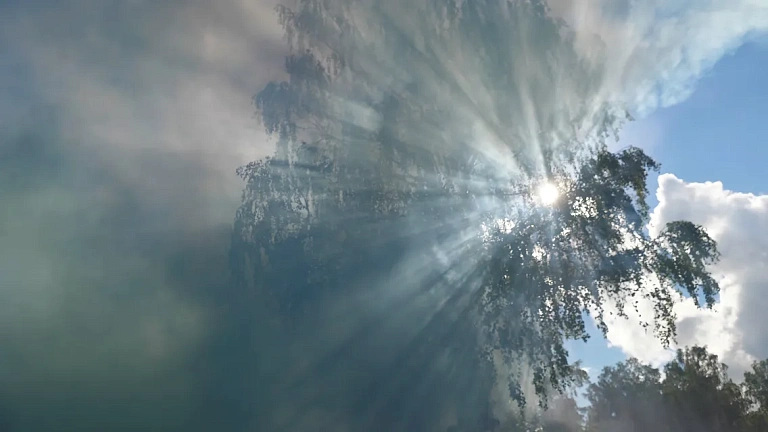 Тревога у врача. Итоги курса